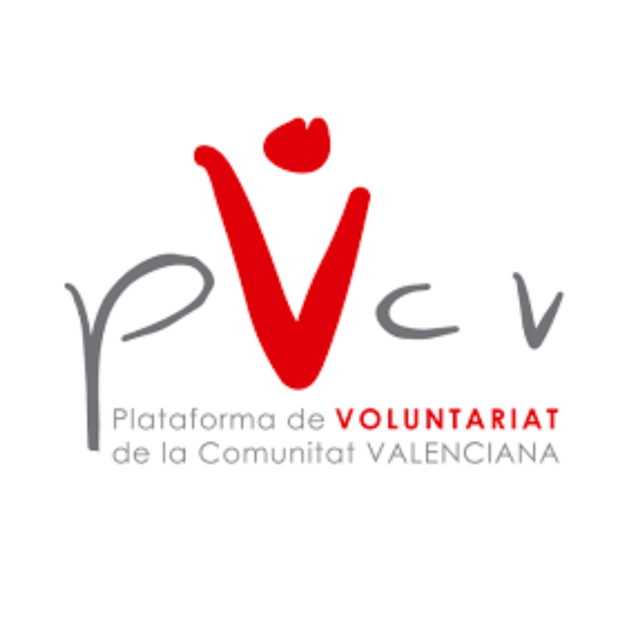 plataforma-voluntariat